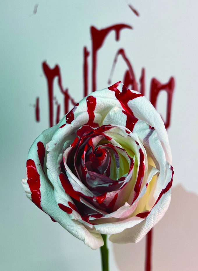 2A - Alessandra Pizzorno - The Bloody Rose