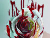 2A - Alessandra Pizzorno - The Bloody Rose