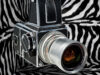 Hasselblad 500 C/M, Svezia, 1970-1994. Pattern grafico ispirato a una foto d'epoca della cantante Debbie Harry, fotografata da Chris Stein, nel 1976