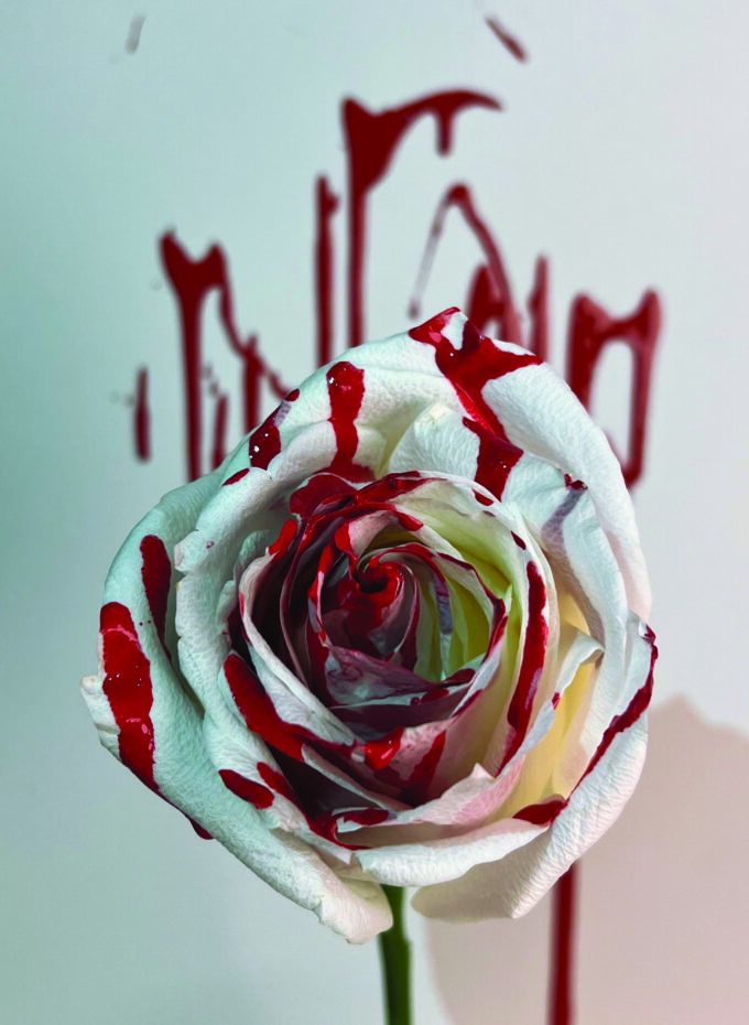 2A - Alessandra Pizzorno - The Bloody Rose