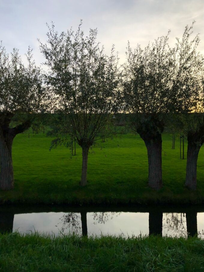 4B - Diana Perruccio - La linea d'orizzonte