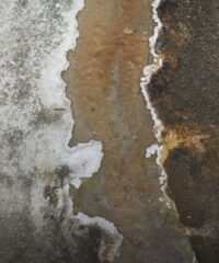 Associazione Refoto APS – Laboratorio Concettuale